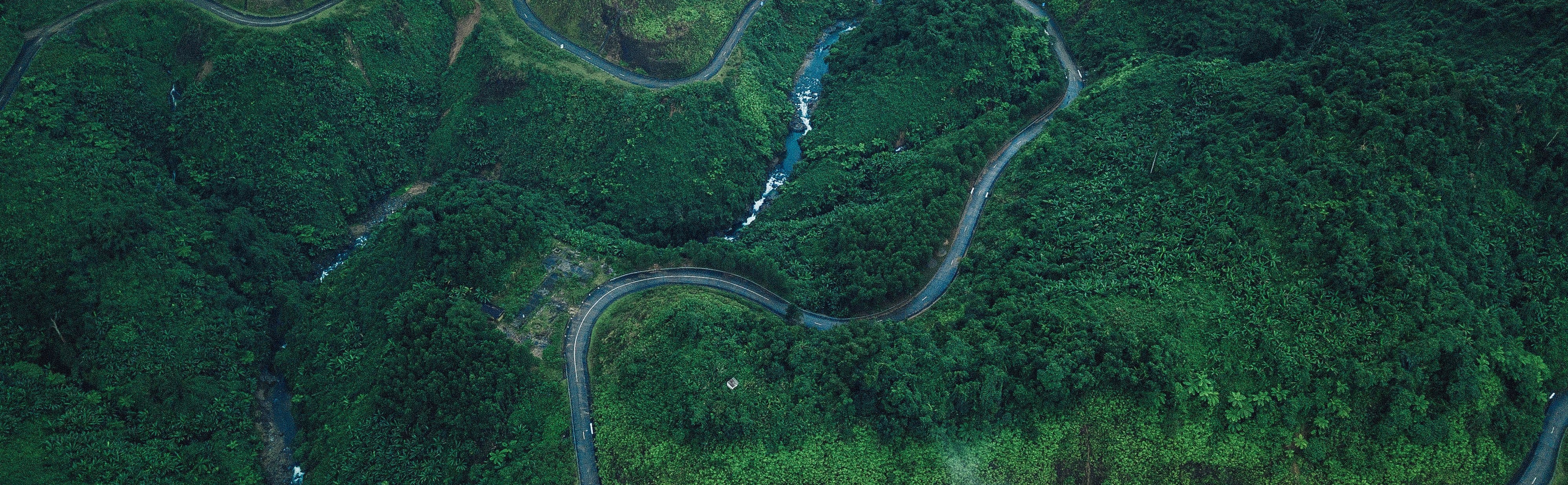 banner chính