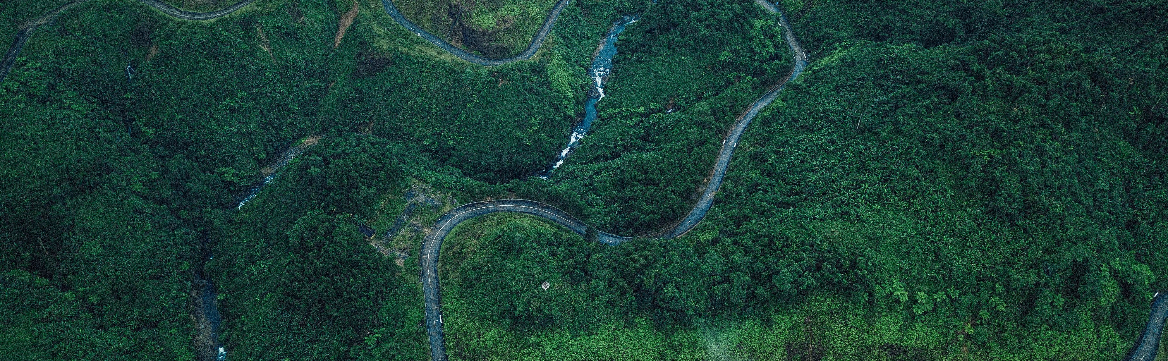 Quản cáo 1