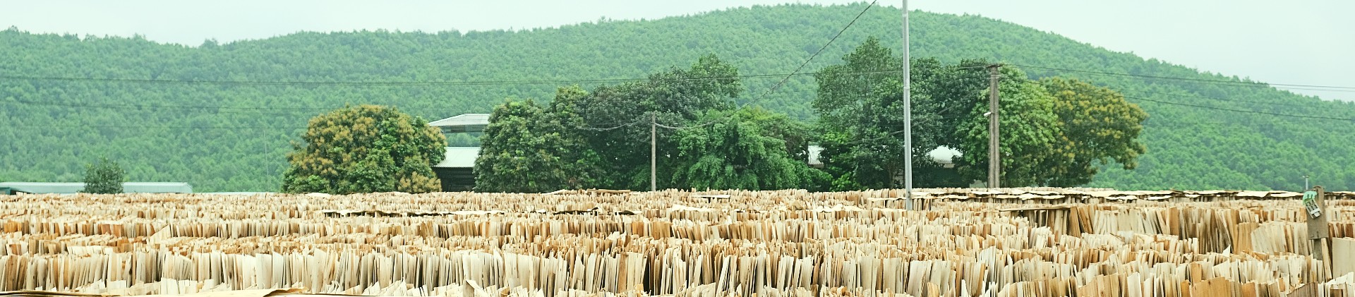 Tin sự kiện