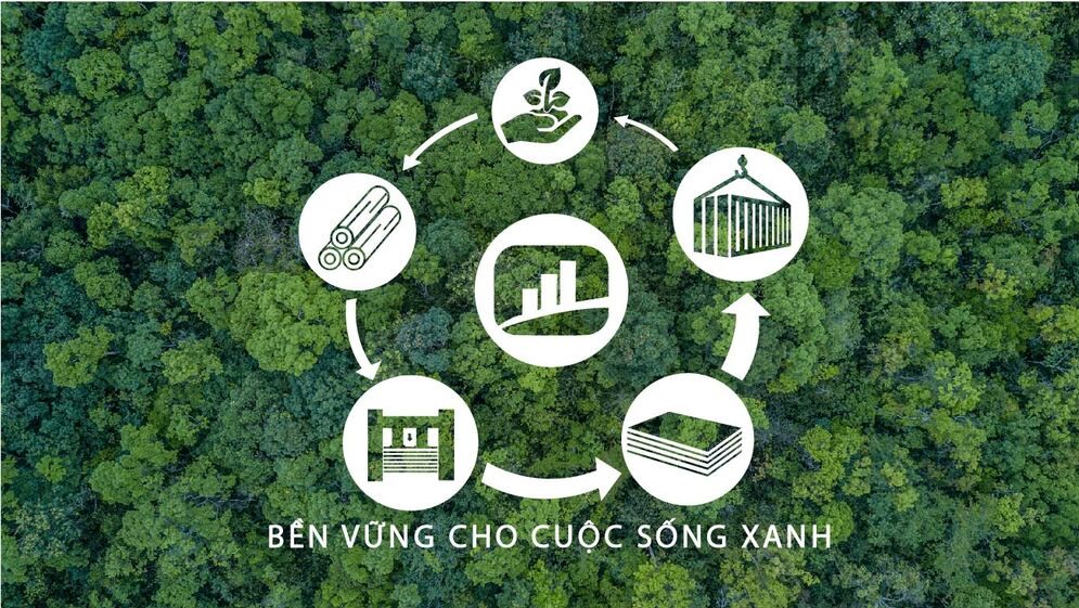 HỆ SINH THÁI FOMEX