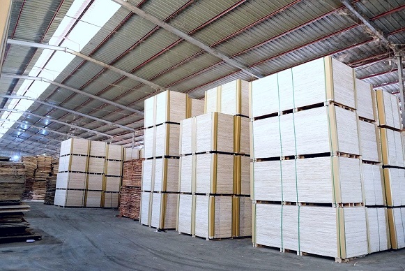 COMMERCIAL PLYWOOD FACTORY