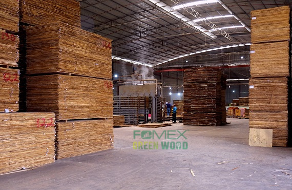 BIRCH PLYWOOD FACTORY