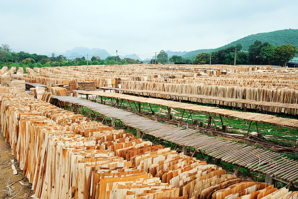 FOMEX VENEER FACTORY