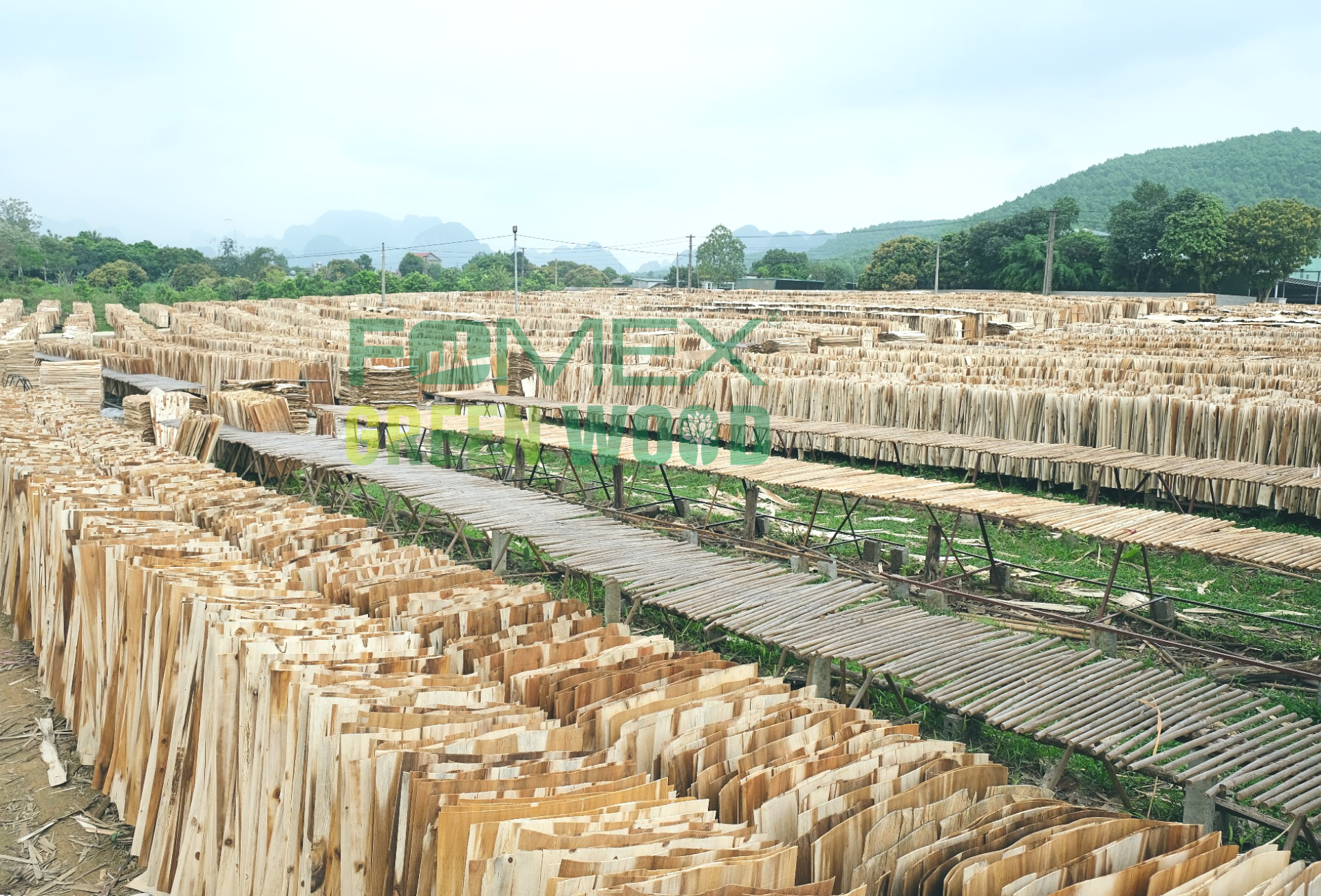 FOMEX VENEER FACTORY