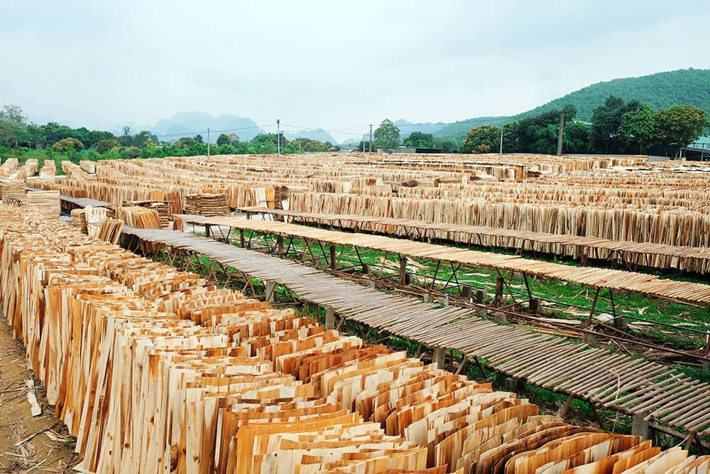 FOMEX VENEER FACTORY