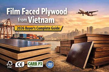 Film Faced Plywood from Vietnam: 2026 Complete Guide For Buyer