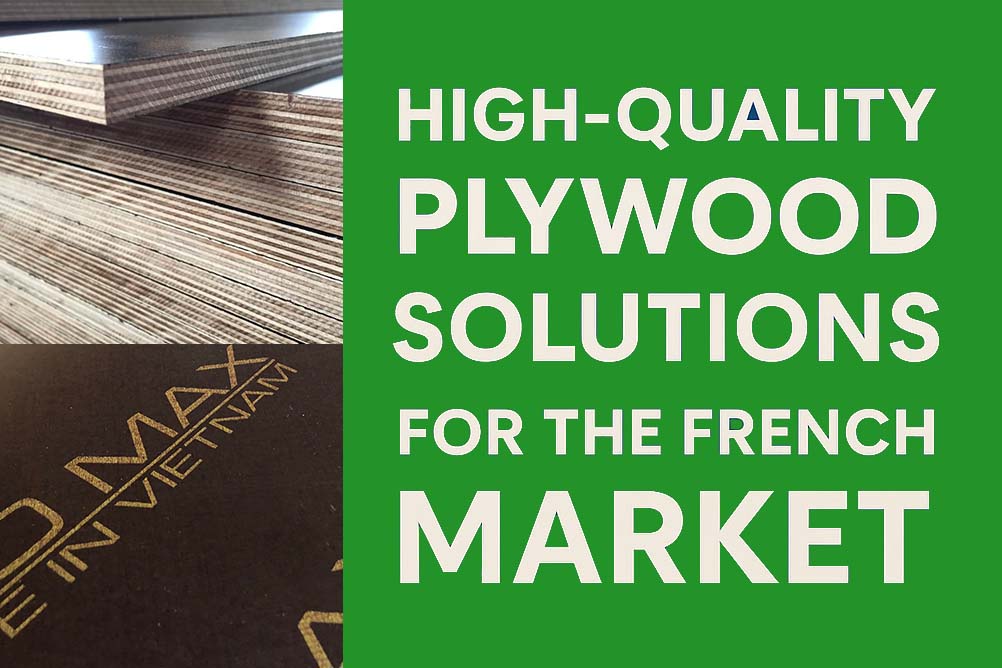High-Quality Plywood Solutions for the French Market: Fomex Group